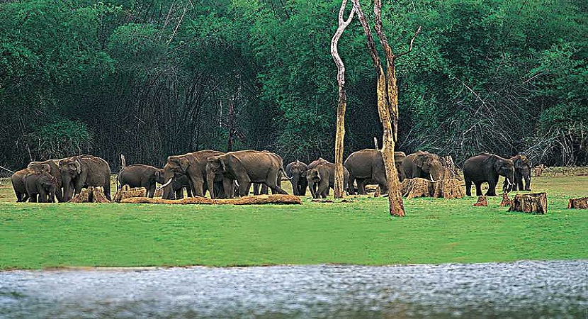 8 Days - Kanha Bandhavgarh Tour