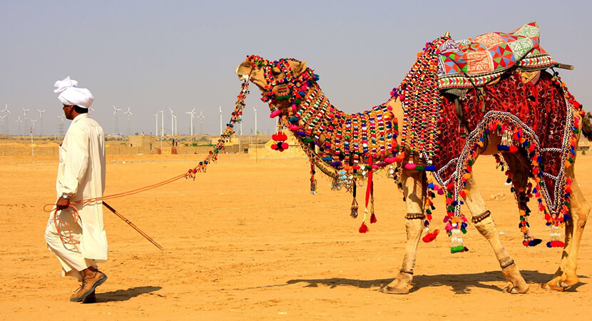 6 Days - Jewels of Rajasthan